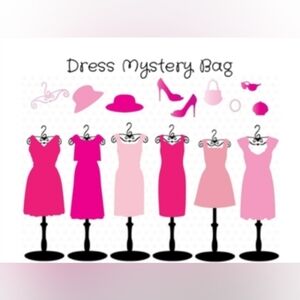 NWT/NWOT Dress Mystery Bag OS